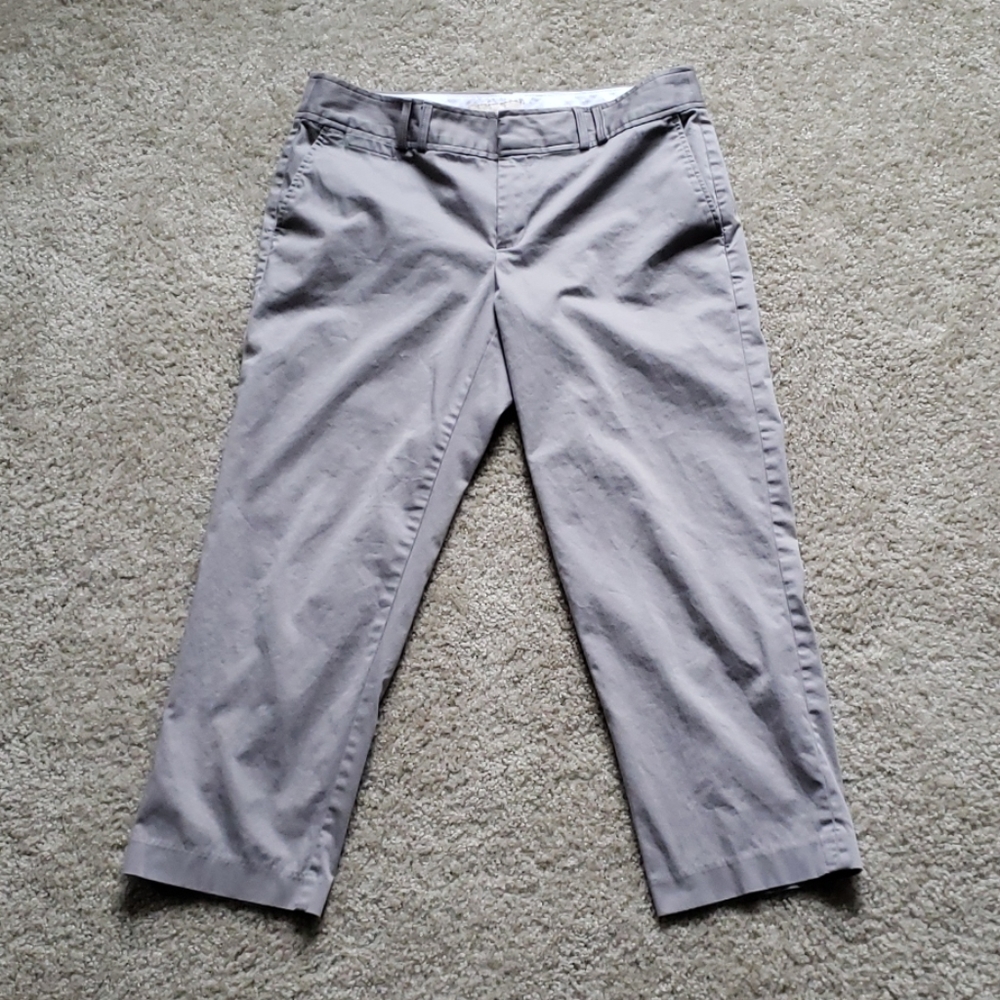 Banana Republic Ryan Fit Pants Size 12